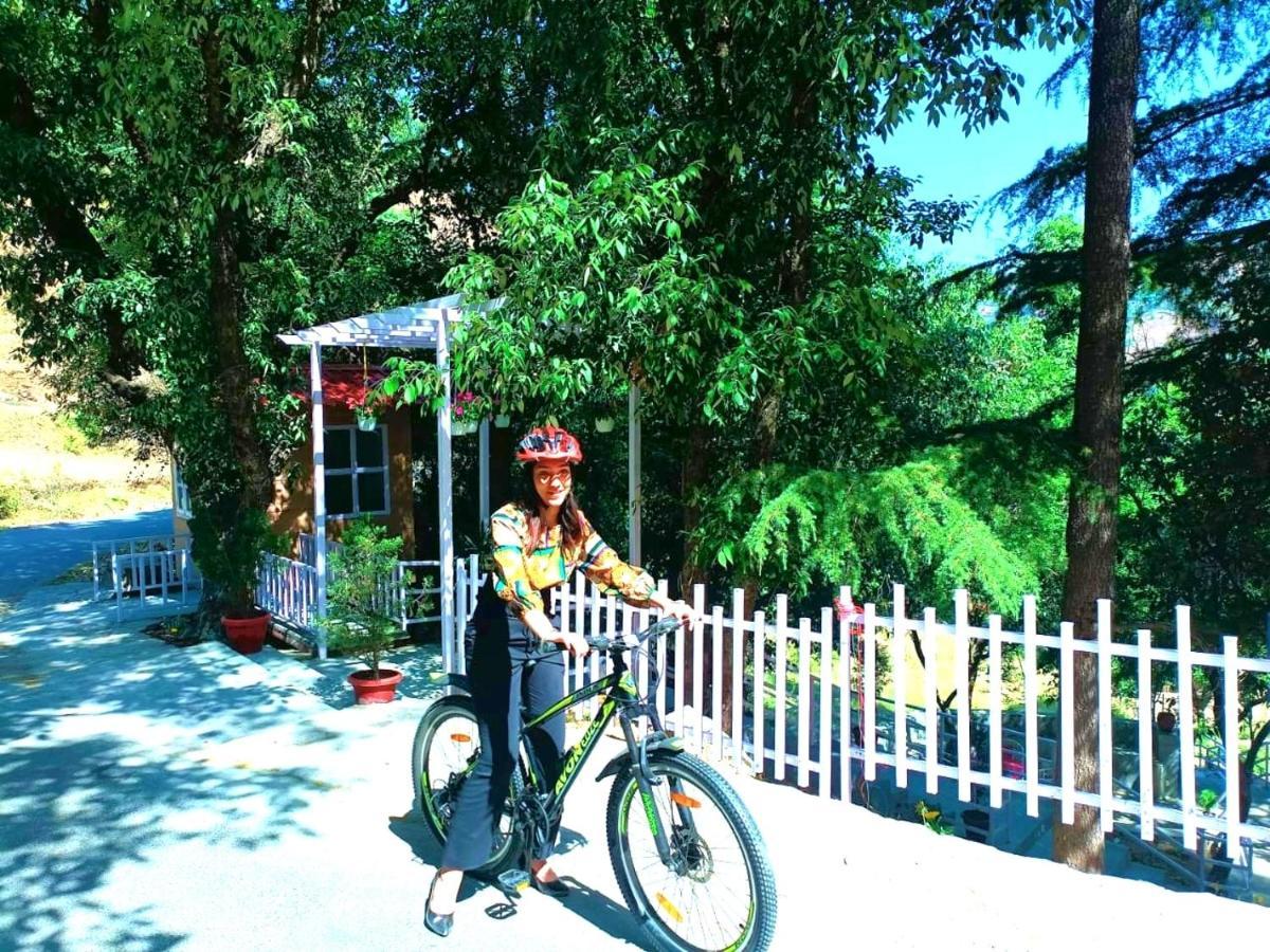 Aaroham Resort Shimla ! Luxury Cottage By Aamod Group Zewnętrze zdjęcie