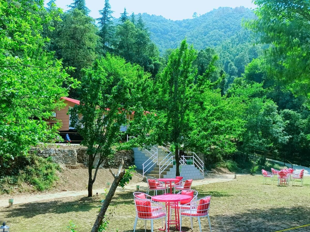 Aaroham Resort Shimla ! Luxury Cottage By Aamod Group Zewnętrze zdjęcie