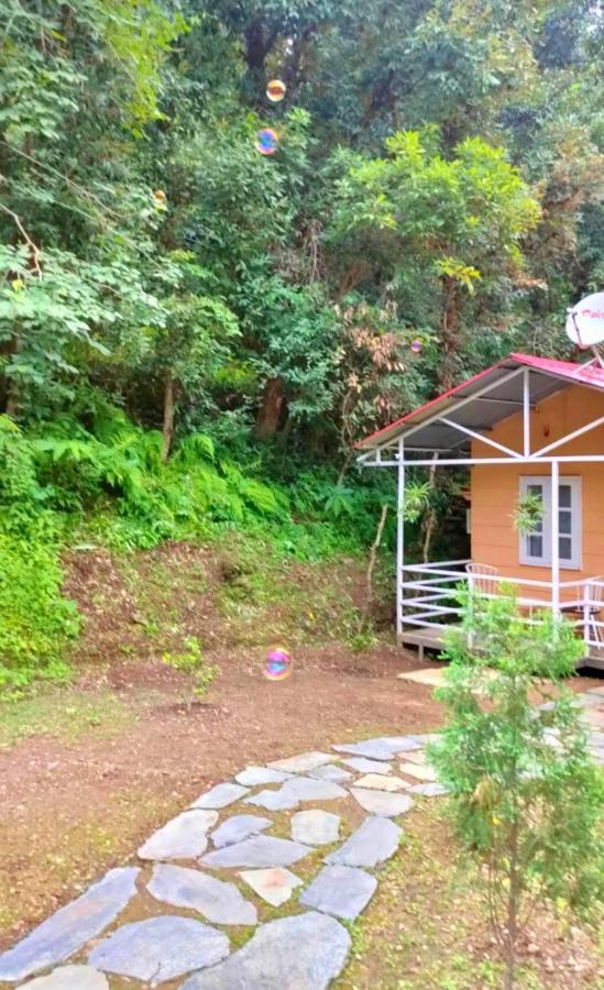 Aaroham Resort Shimla ! Luxury Cottage By Aamod Group Zewnętrze zdjęcie
