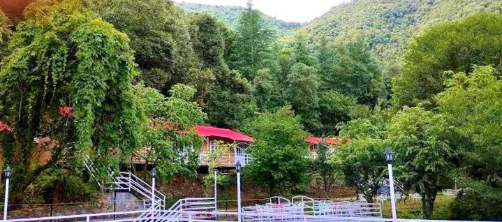 Aaroham Resort Shimla ! Luxury Cottage By Aamod Group Zewnętrze zdjęcie