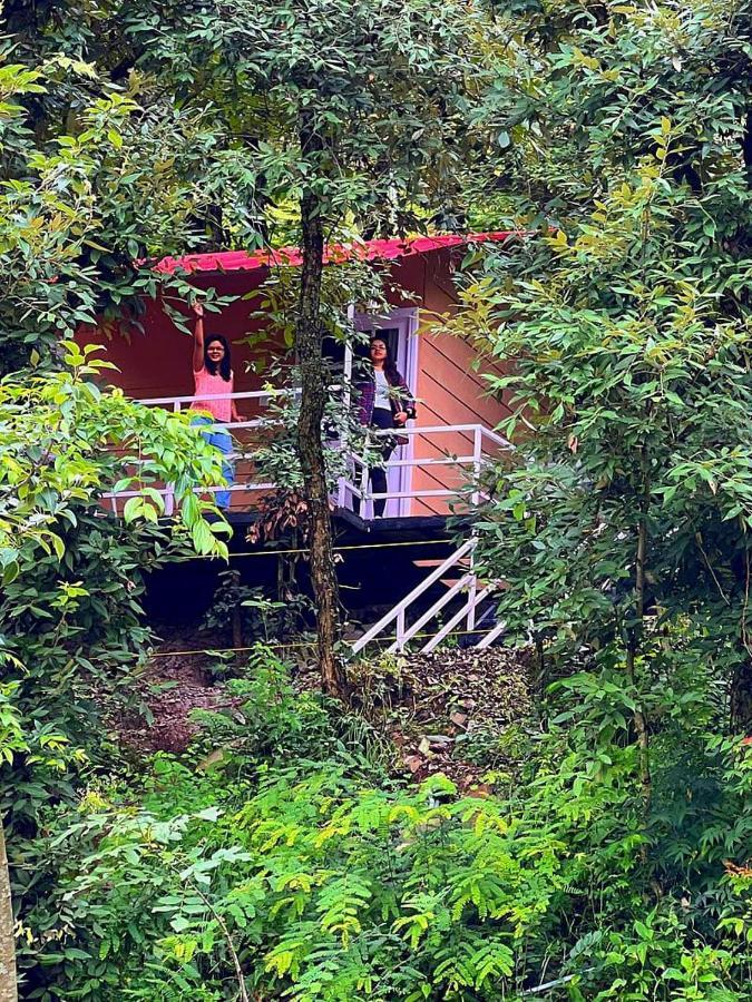 Aaroham Resort Shimla ! Luxury Cottage By Aamod Group Zewnętrze zdjęcie