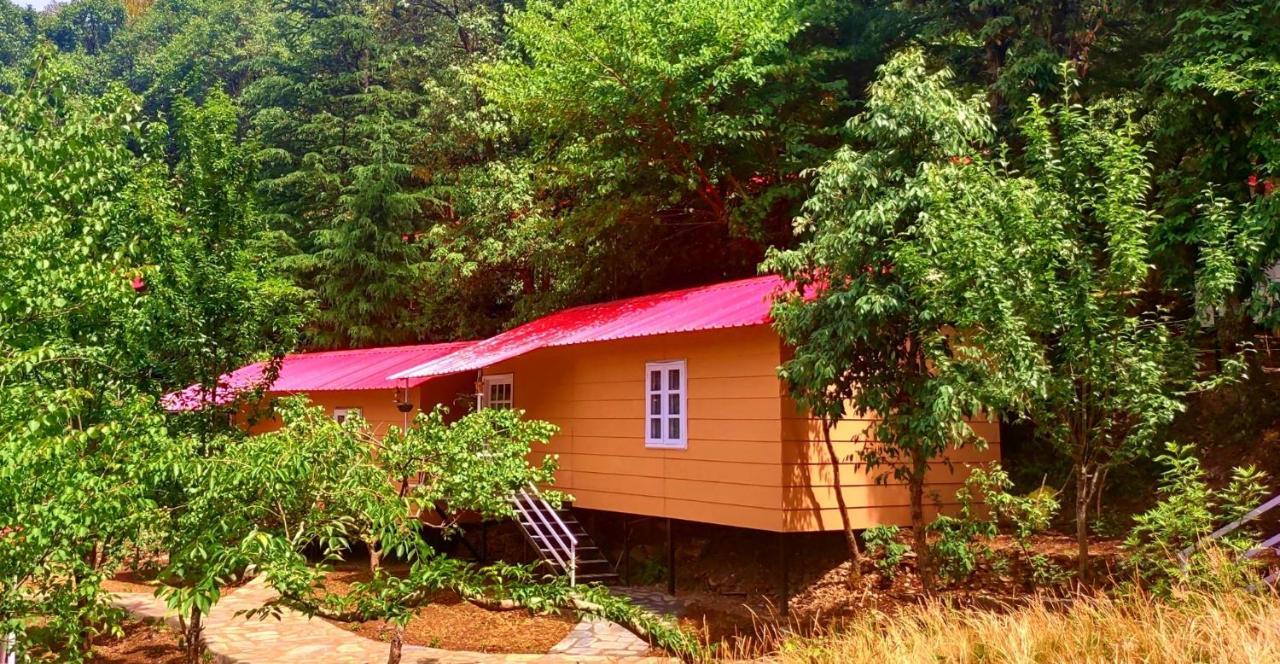 Aaroham Resort Shimla ! Luxury Cottage By Aamod Group Zewnętrze zdjęcie