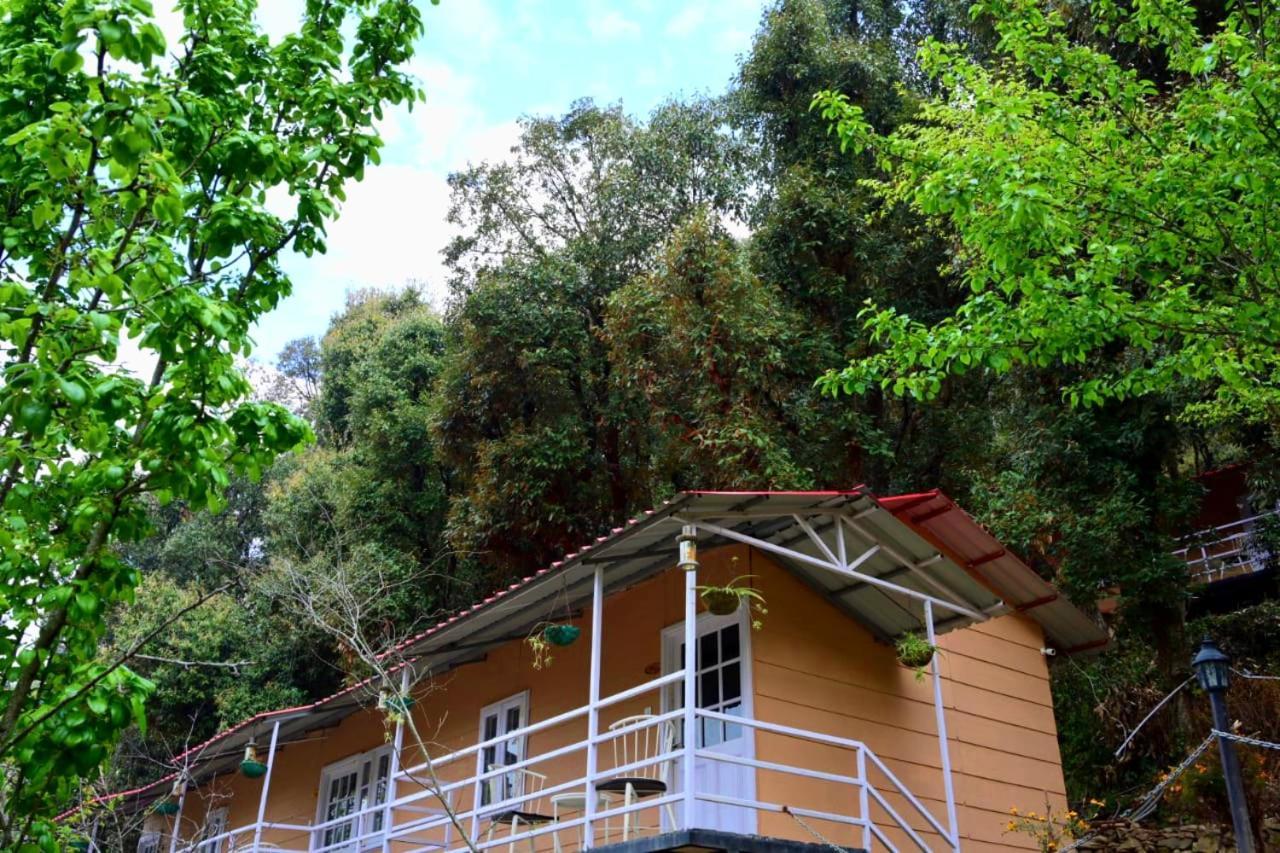 Aaroham Resort Shimla ! Luxury Cottage By Aamod Group Zewnętrze zdjęcie