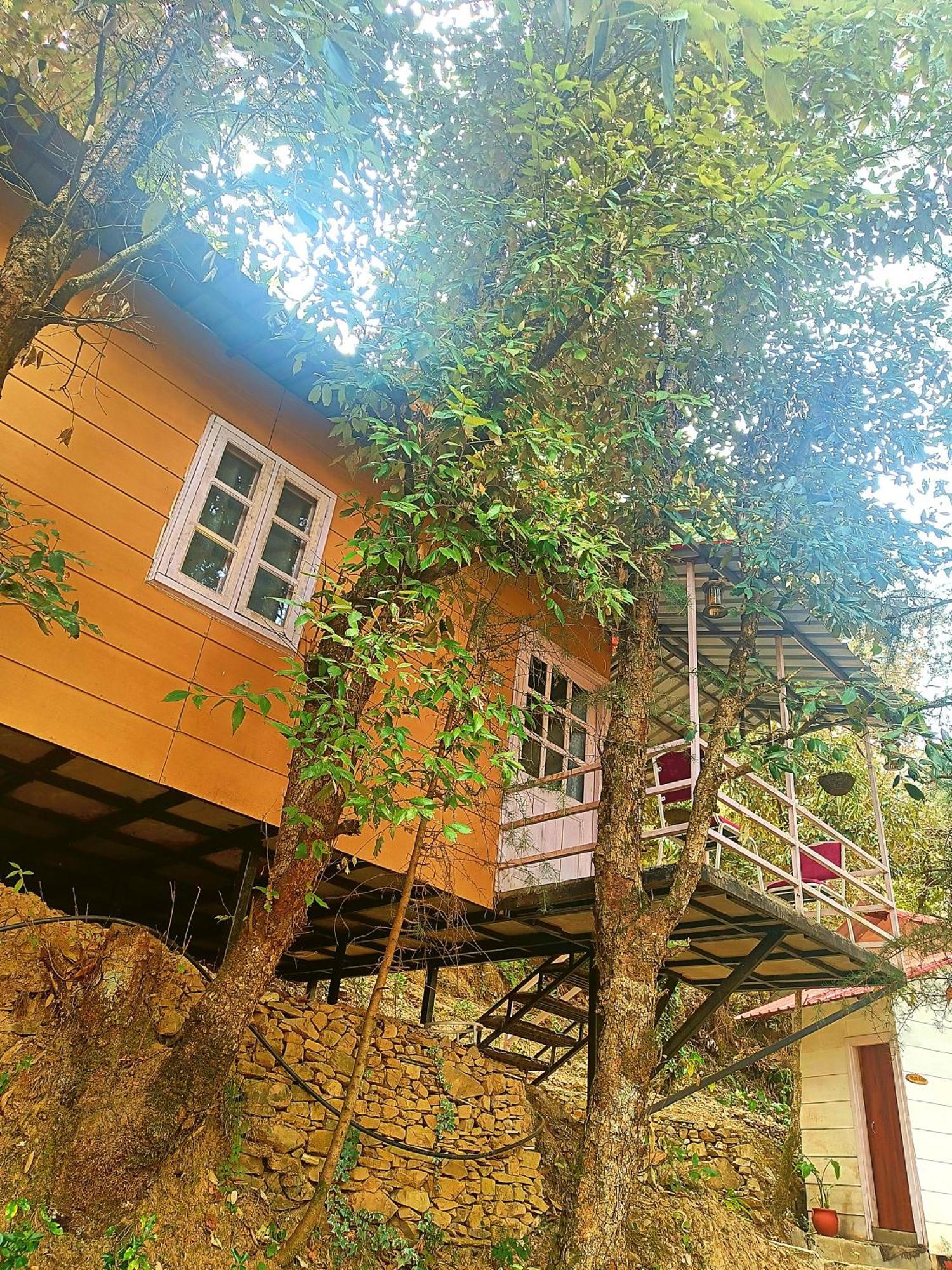 Aaroham Resort Shimla ! Luxury Cottage By Aamod Group Zewnętrze zdjęcie